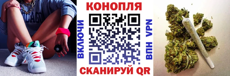 Каннабис семена  Алагир 